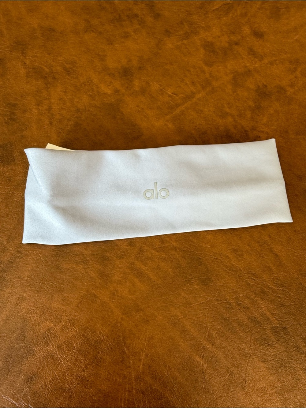 Alo Light Blue Performance Headband